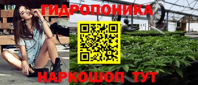 стаф Рязань